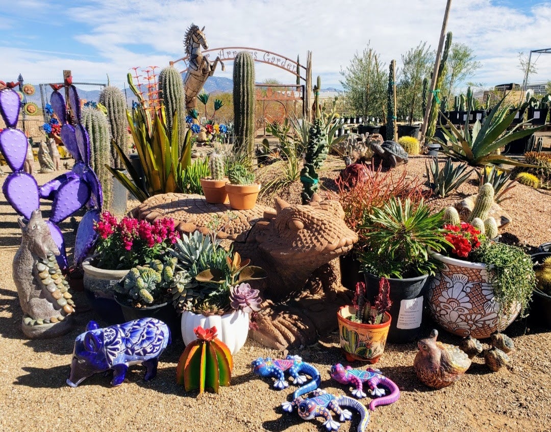 Plant Nursery & Garden Center | Serving Vail, Tucson, and Beyond